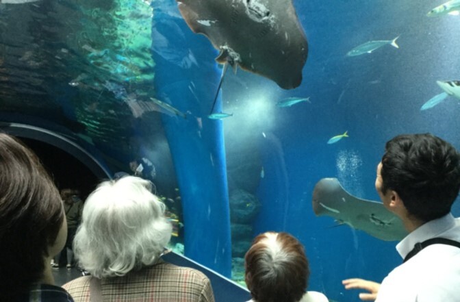 SOMPOケア そんぽの家　柏豊四季